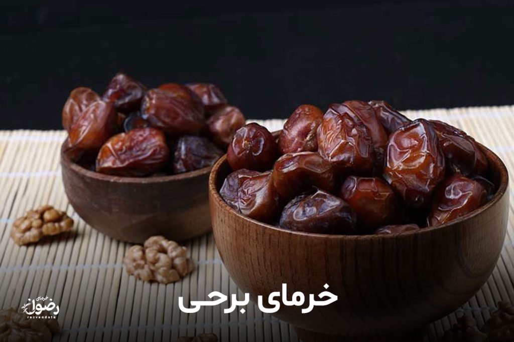 انواع خرما رو با عکسش بشناس تا سرت کلاه نره! 6 خرما برحی
